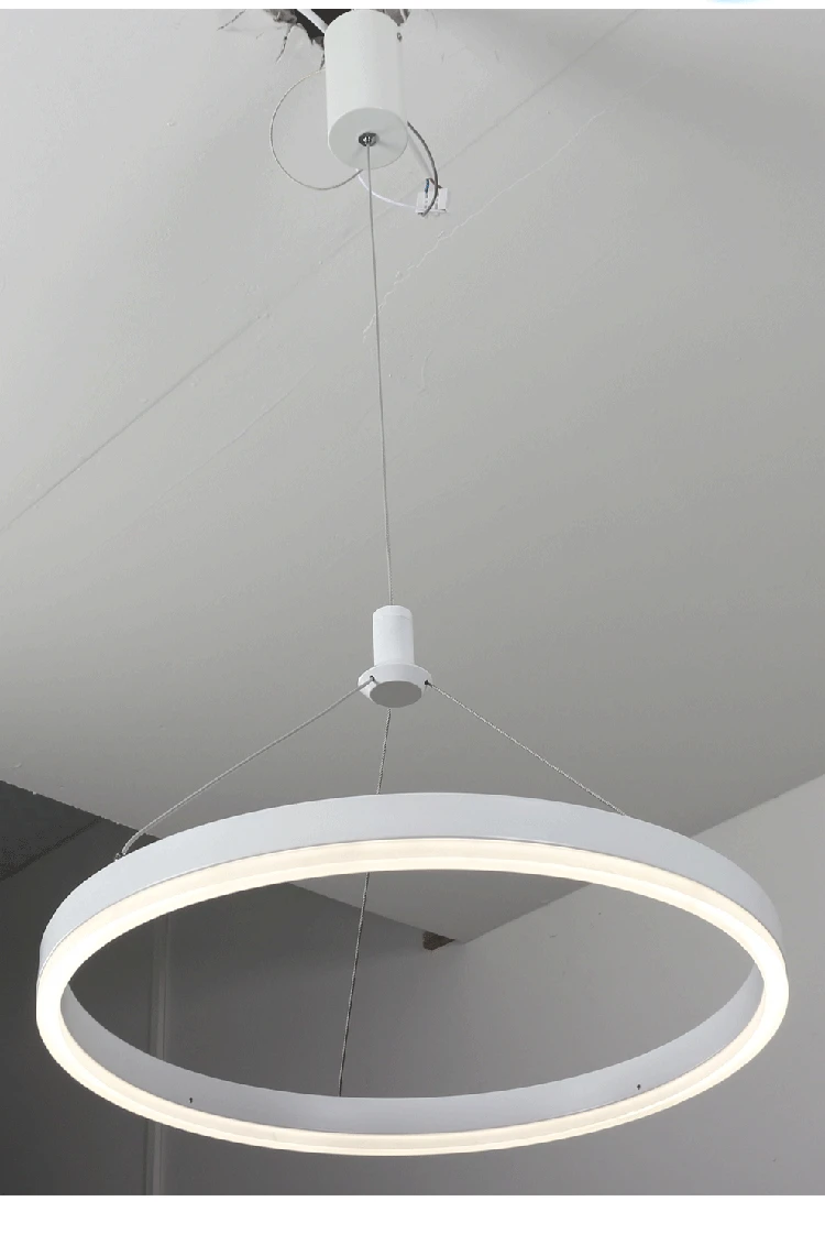 Circle Pendant lamp 07
