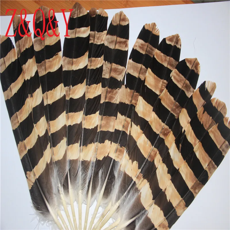 

Z & Q & Y Natural precious 12 40-45CM (16-18 inches) Eagle tail feather color collection, fans, DIY