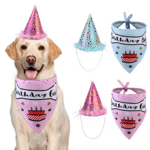 

2019 Birthday Hat Scarf For Dog Cat Puppy Party Costumes Pets Headwear Accessory