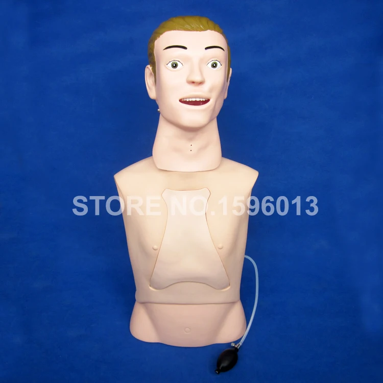 K 80 NG intubation manikin (9)