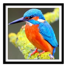 3d diy diamante bordado kingfisher quadrado completo diamante cor pássaro redondo cheio pintura diamante ponto cruz bonito animal