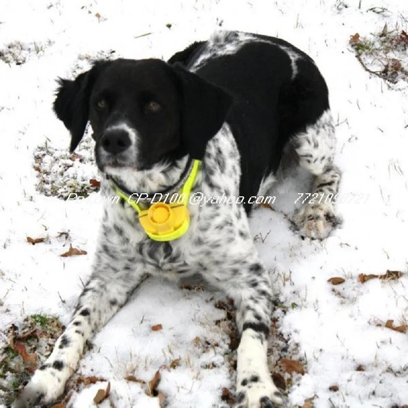 HTB1H5E2IVXXXXbuXXXXq6xXFXXXT