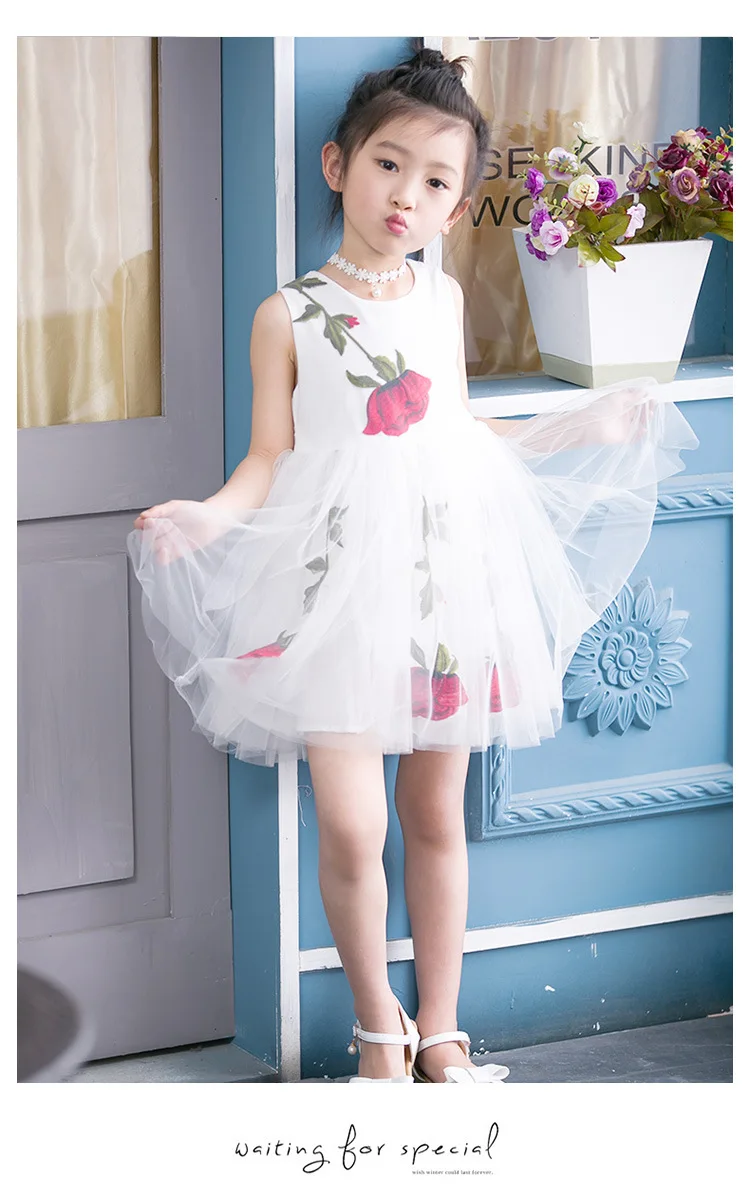 3990747499_1062221069