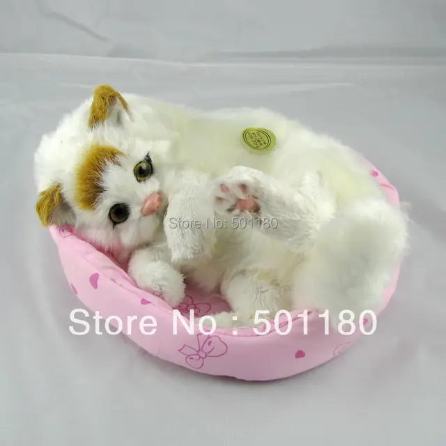 birthday gift free shipping unique cat toys mini plush cat animated
