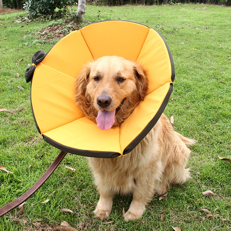 

Foldable Waterproof Cat Dog Protection Cover E-collar Not Block Vision Anti-bite Waterproof Wound Healing Cone Protective
