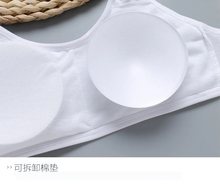 8860850905_1413011178