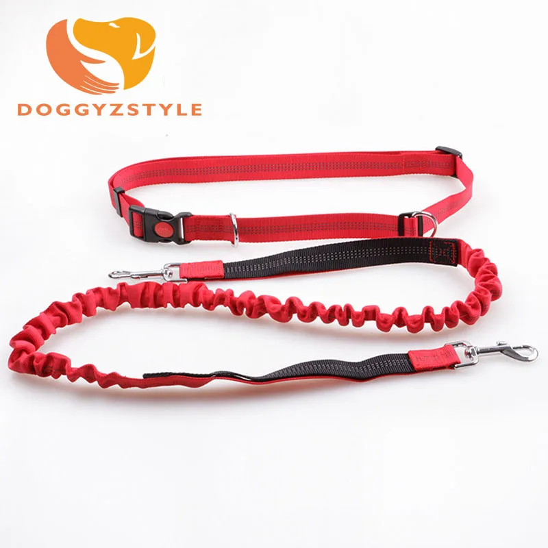 Nylon Pet Leash Running Reflective Traction Rope Puppy Dog Lead Collar Adjustable Walking Leashes For Small Dogs DOGGYZSTYLE | Дом и сад