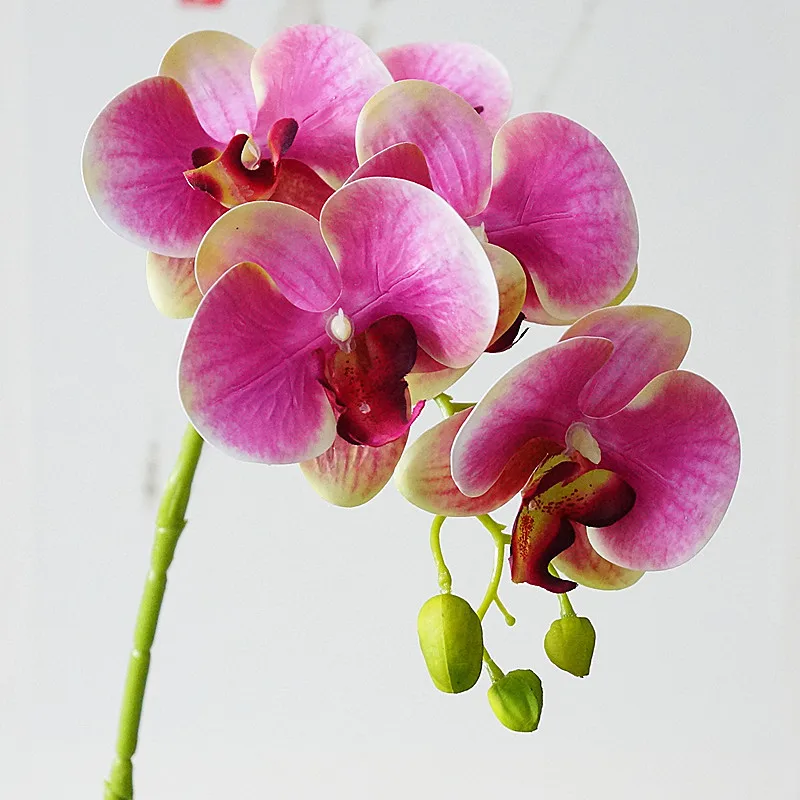 Real touch 5Heads Latex Orchids branch Artificial Flowers quality artificial flowers 6 4