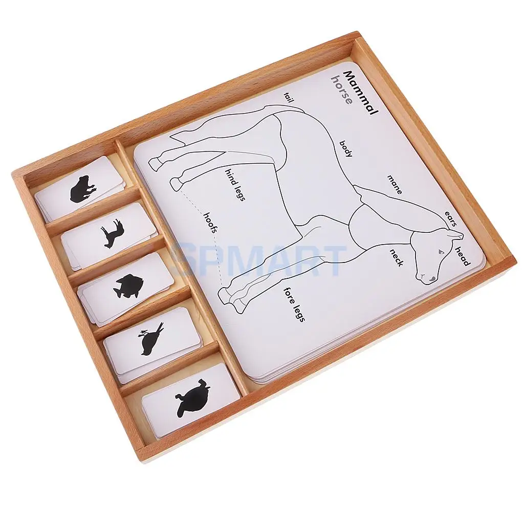 

Kids Preschool Montessori Educational Toy Animal Horse/Frog/Turtle/Fish/Bird Learning Cards