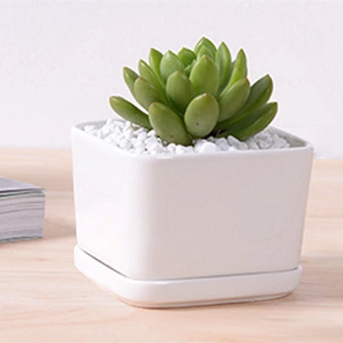 

4pcs/lot 8.5cm Diameter Cube Shape Pure White Ivory Ceramic Mini Porcelain Flower Pot for Succulent Plant Bonsai With Tray Pot