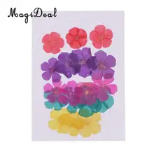 20 штук производится в течение 15-25 мм прессованные 5-лепестки сушеный Цветочный декор плоской задней стороной для украшения ногтей полимерный литой DIY орнамент ручной работы