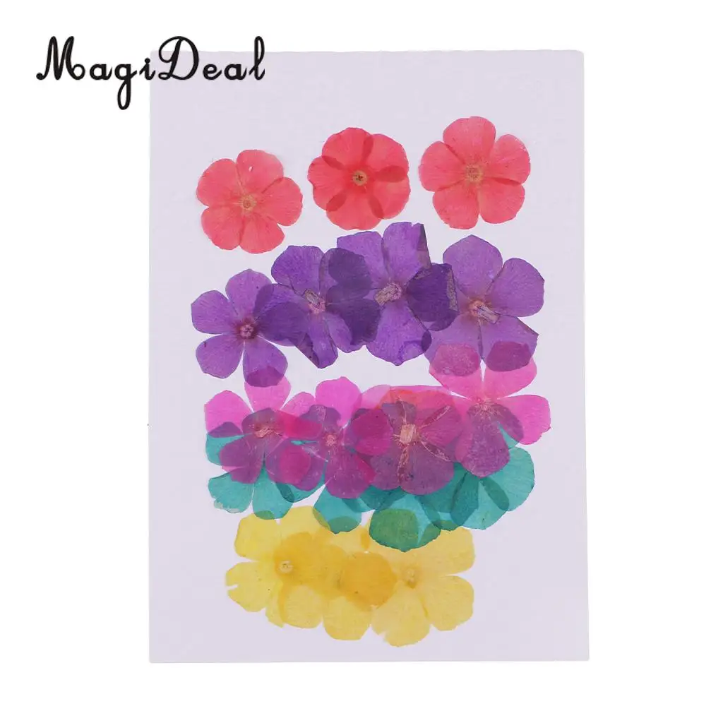 

20pcs 15-25mm Pressed 5-Petals Dried Flower Embellishments for Nail Art Decoration Resin Casting DIY Handmade Ornament