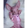 Real Touch Silicone 18inch Reborn Kits Sphynx Cat Limb Mold Realistic Cat Model Doll Unpainted DIY Handwork ► Photo 3/6