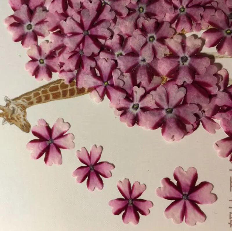 

120pcs 1cm Pressed Dried Verbena Hortensis Flower For Jewelry Bookmark Postcard Photo Frame Making Craft DIY Accessories
