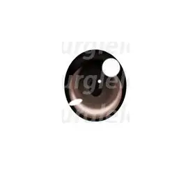 QQ截图20190621201849
