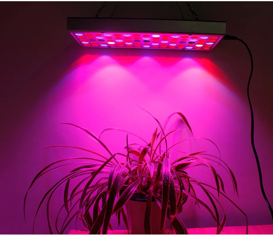 led grow light (16)