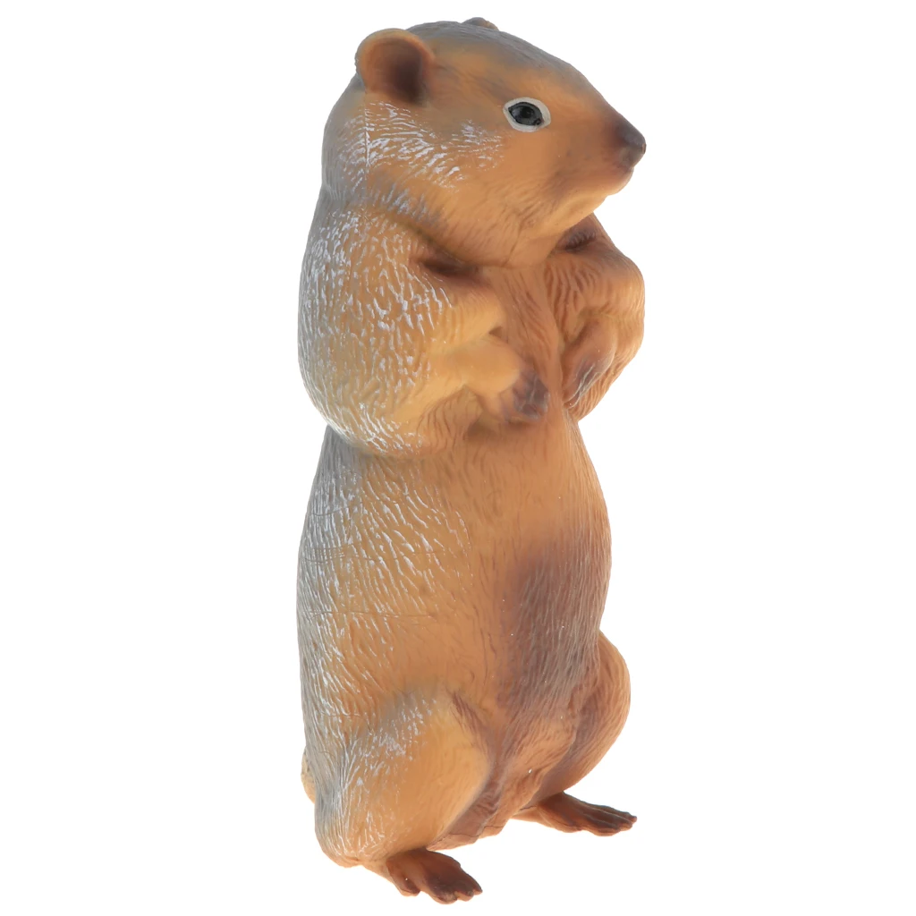 2pcs Simulation Wildlife Animal Model Figurine Kids Science & Nature Toy Collection Home Decoration Party Favors- Marmot