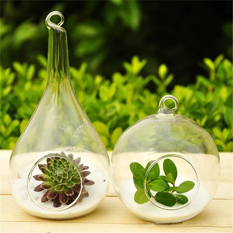 

New Fashion Hot Sale Clear Glass Round with 1 Hole Flower Plant Hanging Vase Hydroponic Container Office Wedding Decor