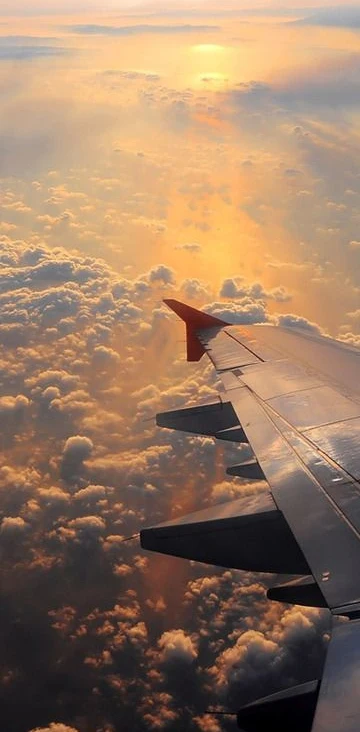 Aircraft Airplane fly travel