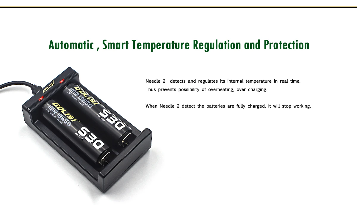 Golisi Needle 2 LED Indi USB Port Smart Lite Battery Charger For Li-ion Battery 2Slots