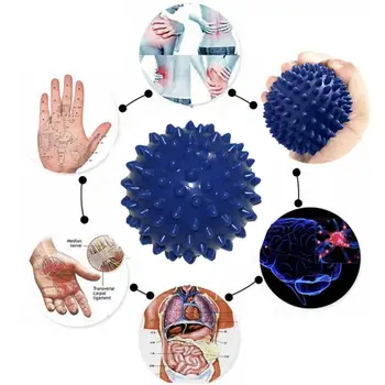 

4 Color PVC Hand Massage Ball PVC Soles Hedgehog Sensory Training Grip The Ball Portable Physiotherapy Ball Catch The Ball