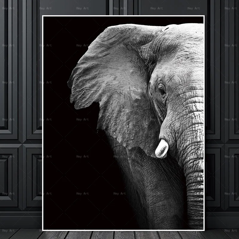 Canvas Paintings Black White Abstract Art Prints Animals Pictures Wall Poster Painting Home Decoration for Living Room