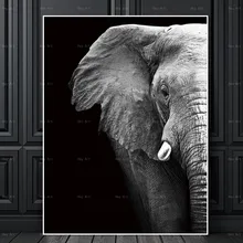 Canvas Paintings Black White Abstract Art Prints Animals Pictures Wall Poster Painting Home Decoration for Living Room