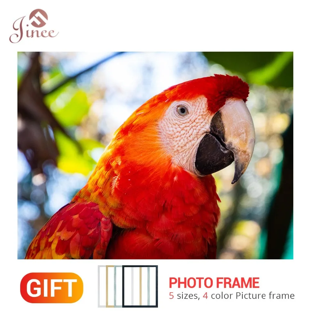 

Framed DIY Diamond Painting Bird Parrot Full Drill Rhinestone cross stitch kits Handmade Embroider Crafts Gift Animal Decor