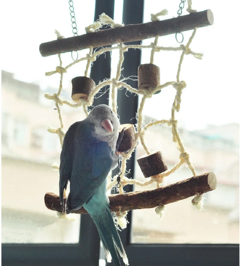 Попугай птица игрушки сетка для лазанья животное попугай стойка веревка