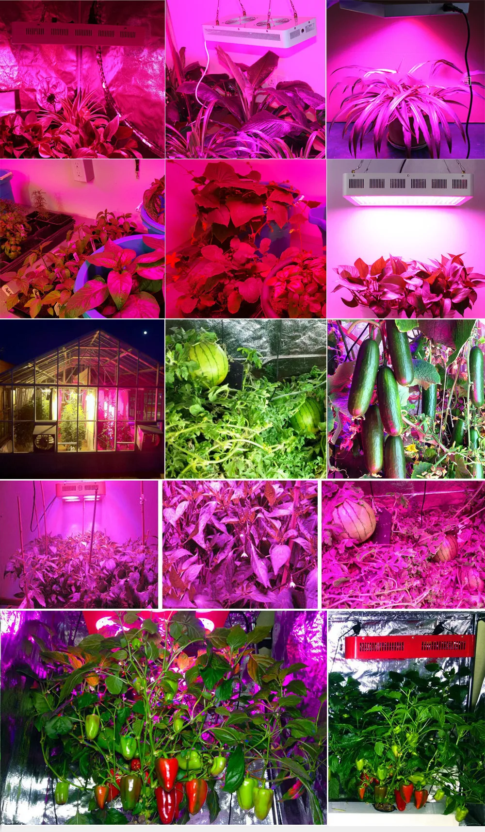 LED Gorw Full Spectrum 600w 1200w 2000w For Indoor greenhouse Hydroponics Seed and flowering Plant Light Grow led