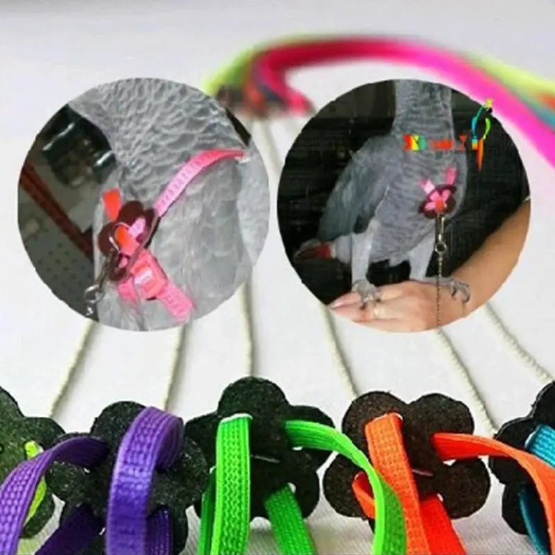 

Parrot Bird Leash Outdoor Adjustable Harness Training Rope Anti Bite Flying Band Bird Supplies Harness Leash Random color