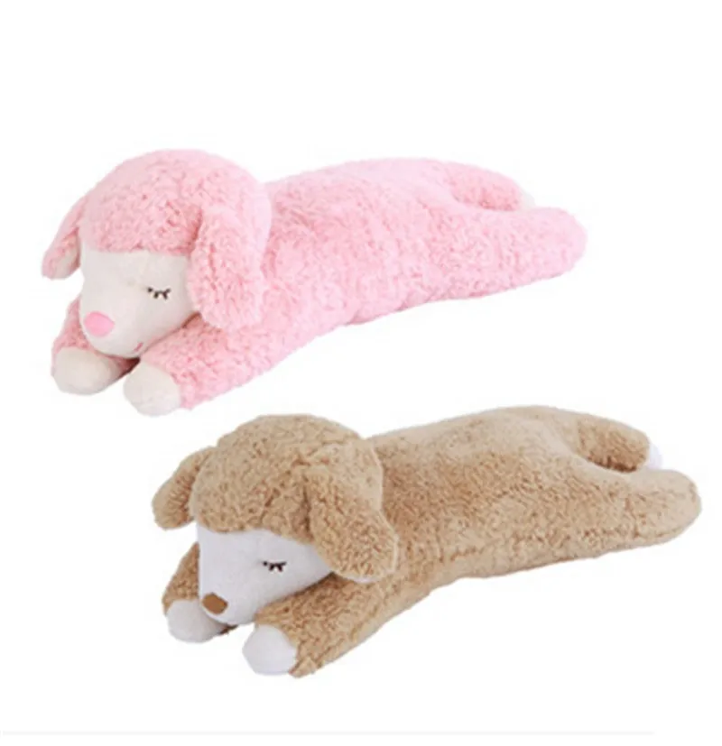 sheep4