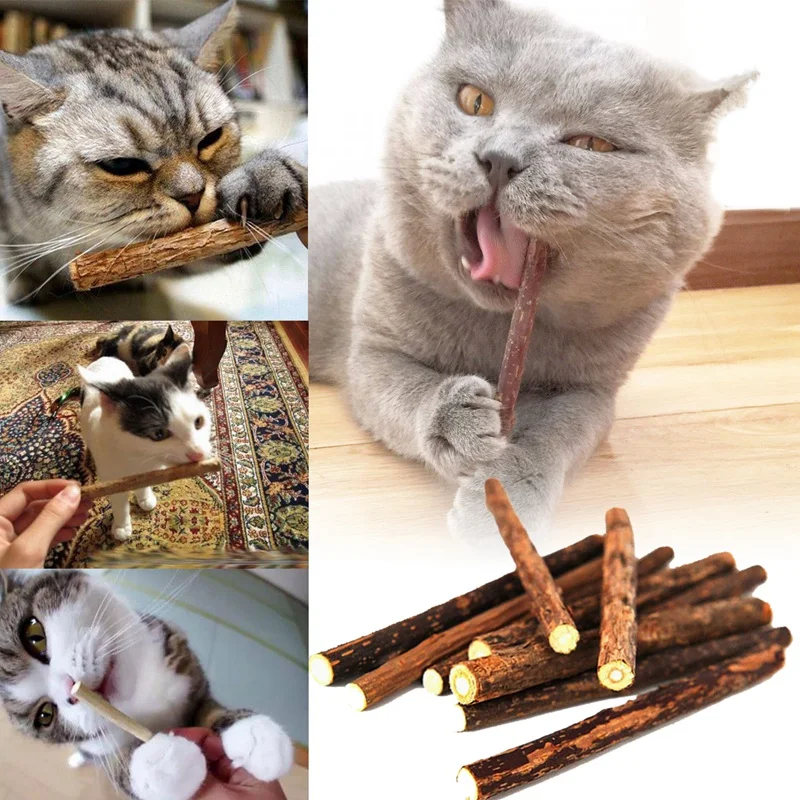 wood color 5 шт. натуральный мутианский питомец закуска кошка Жевательная палочка лакомство игрушка кошачья мята молярная еда - Цвет: wood color