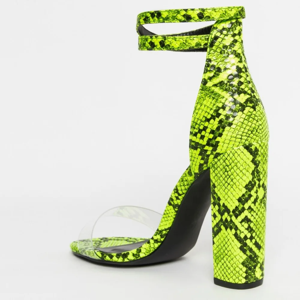 heidi-52_yellow_snake_back