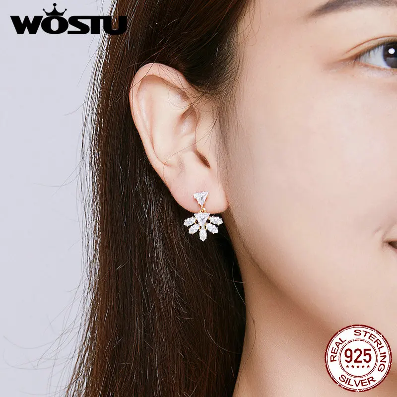 WOSTU, 925 пробы, серебряные геометрические золотые серьги-гвоздики для женщин, для свадьбы, помолвки, циркониевые серьги, 925 ювелирные изделия FNE226