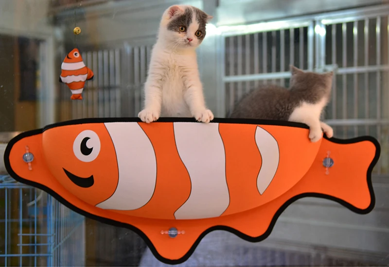 4314668769_1397814943