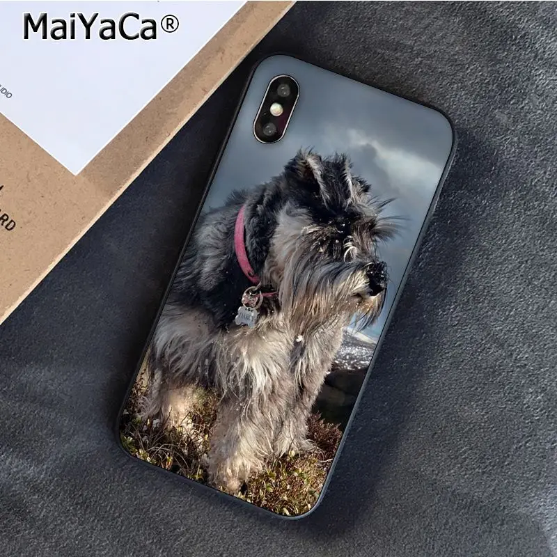 Lovely Dogs Schnauzer 