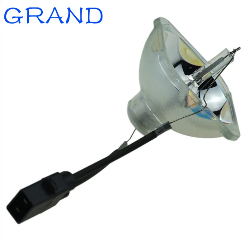 ELPLP35
