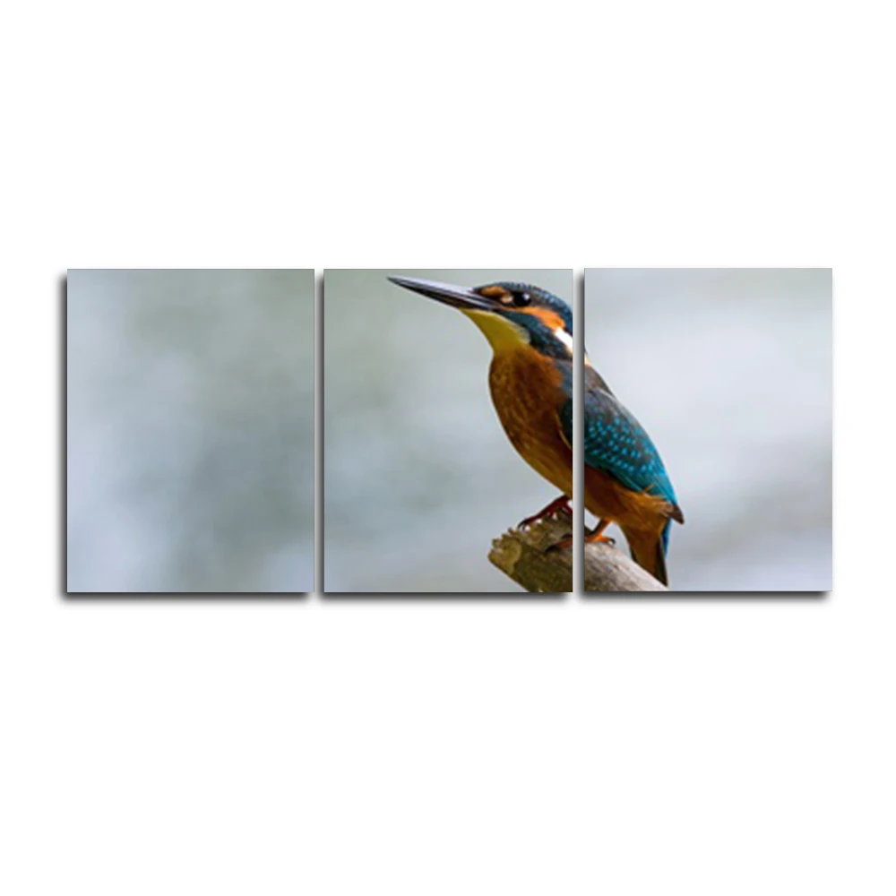

Laeacco Modern Nordic Bird 3 Panel Animal Posters and Prints Canvas Paintings Calligraphy Wall Artwork Home Living Room Decor