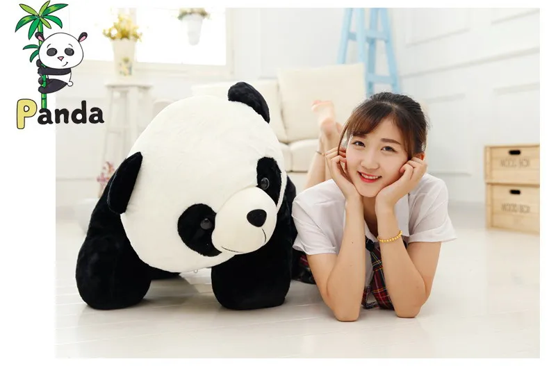 panda 5