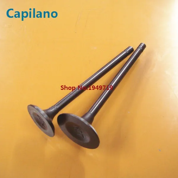 CG200 engine valve (1)