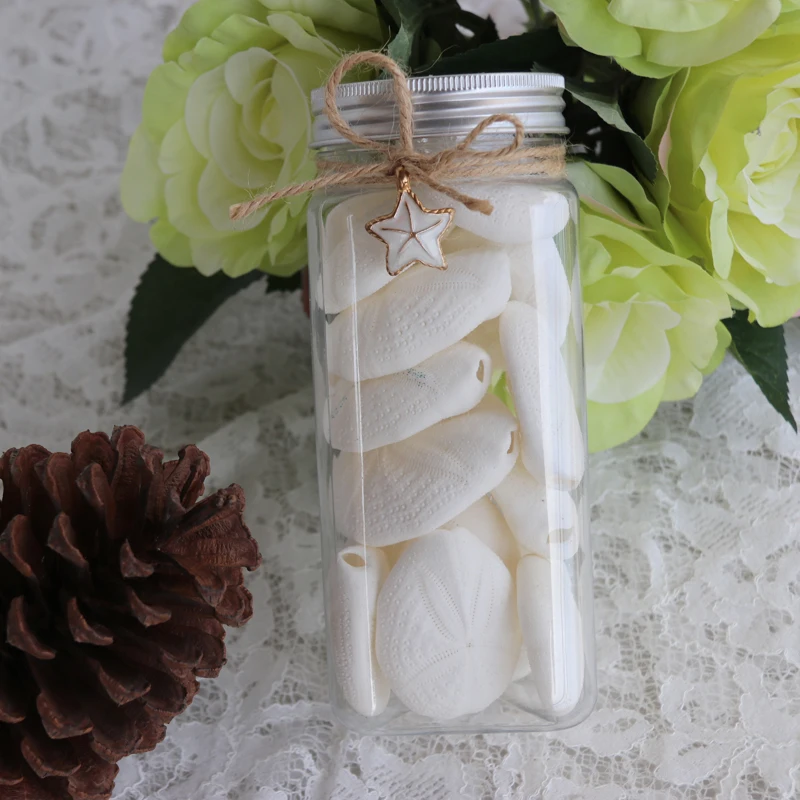 

Free Shipping(1 bottle/lot)Natural White Sea Urchin Bottle Set Natural Shell&Conch Beach Wedding&Party&Holiday Decor