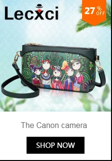 dianxiaobao