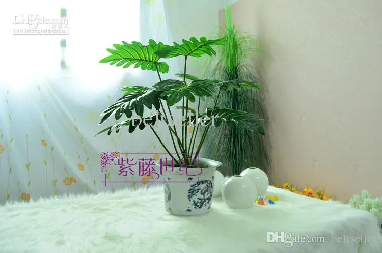  High quatity green moss Wedding Home DIY Decorative Garland Flowers Dried Floral flower arrangement decoration 200g