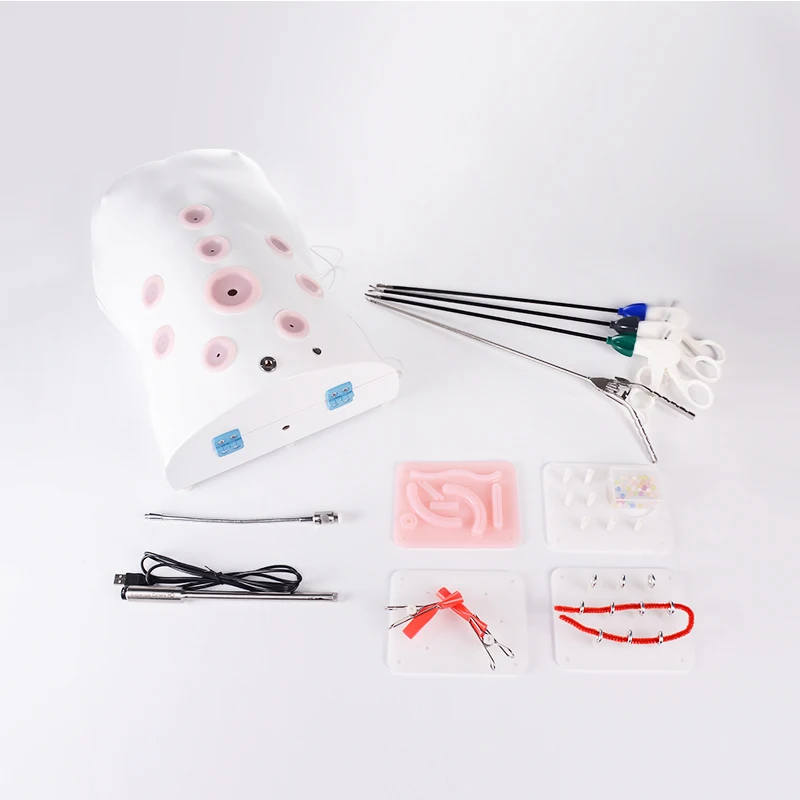 

1:1 Simulated Human laparoscopic simulator Prosthetic training box + HD endoscope + Training equipment + Module Y