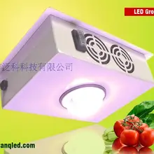 Супер чип(cob) большой мощности full spectrum Led полный спектр светодиодов растения на балконе 150 w цельных фруктов и овощей загорается