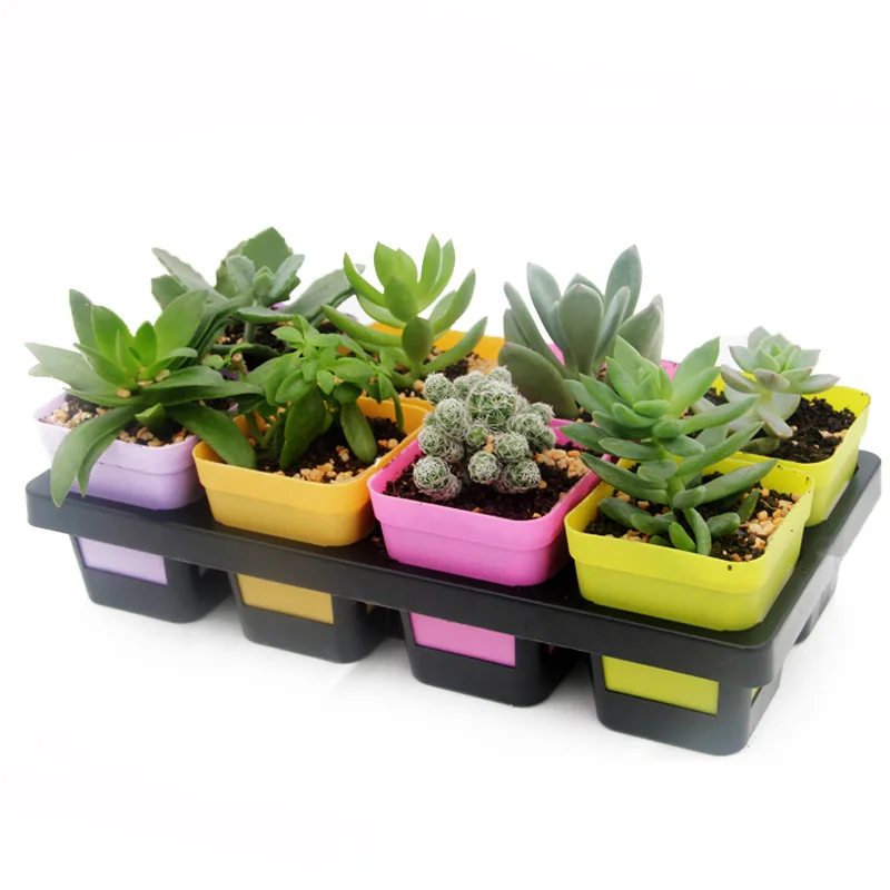 

8 Cells Flowerpot Succulant Planter Plastic Flower Pot Seed Tray Balcony Bonsai Bowl Nursery Basin Planter Imitation Rectangle