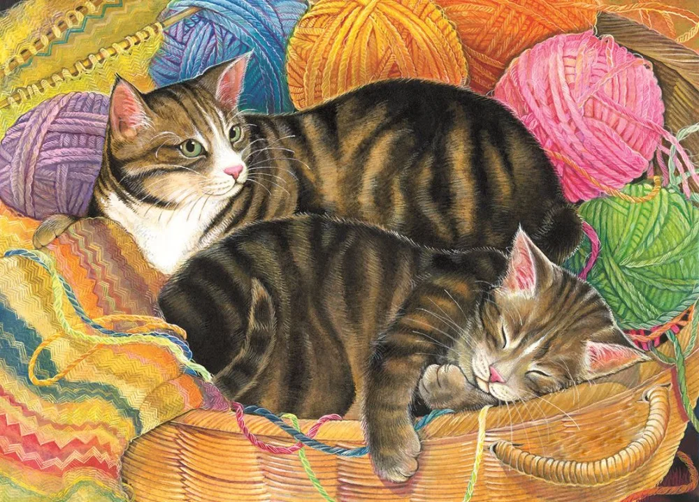 71963rightathomecat