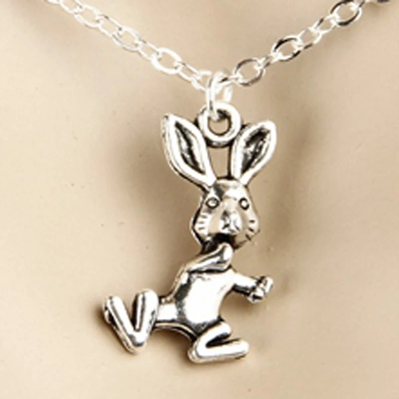 Wholesales 2pcs Rabbit Chain Long Necklace Pendant Simple Sliver Choker Geometric Sexy Body Hot | Украшения и аксессуары