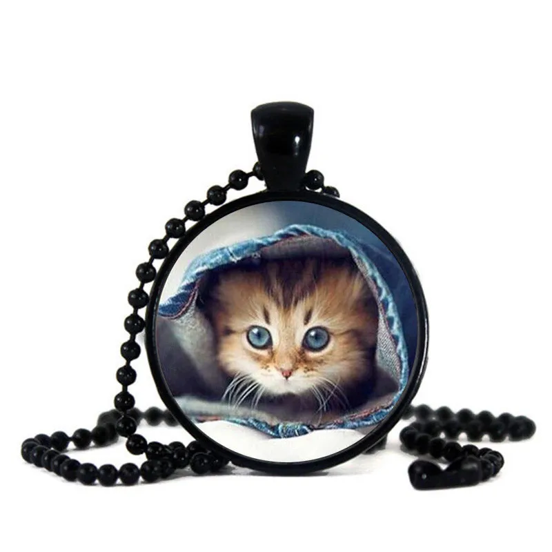 7300 Koleksi Gambar Kolase Kucing Terbaru